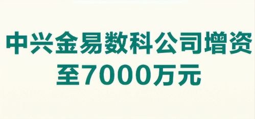 信息技術(shù)咨詢(xún)服務(wù) 企業(yè)數(shù)字化轉(zhuǎn)型的智慧引擎